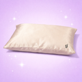 Silk Pillow Case